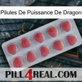 Dragon Power Pills 18